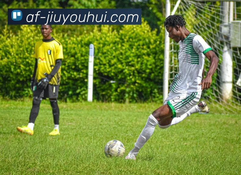 九游会官网平台生态图